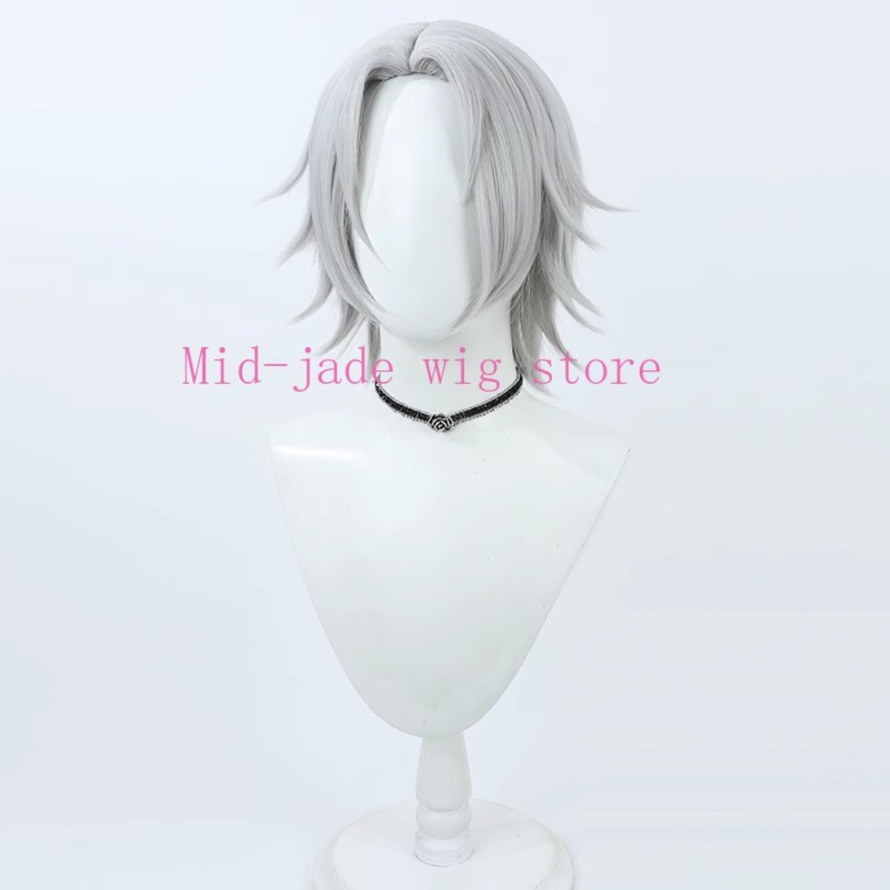 Parrucca per cosplay di Hayato - Photography Japanese recensione e prezzo